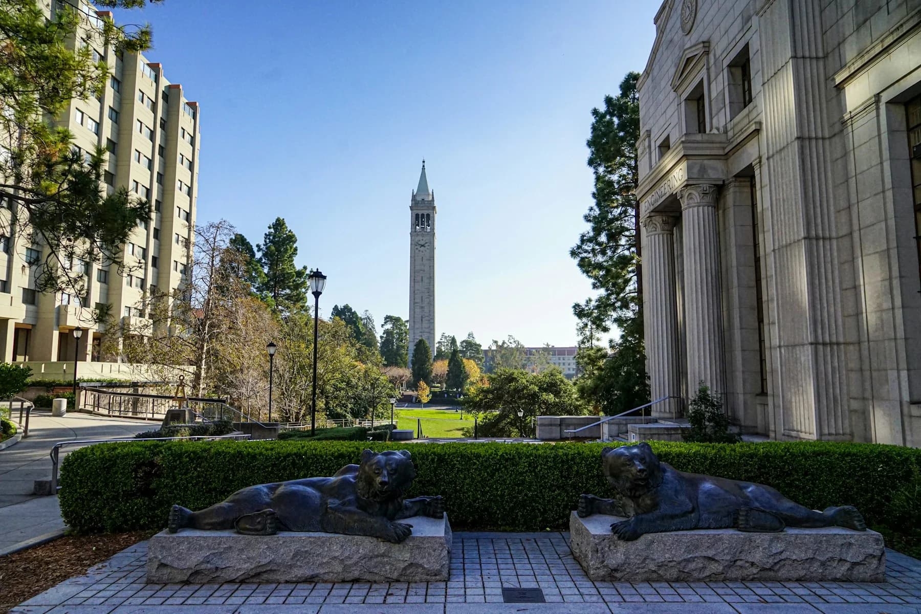 UC Berkeley’s Campanile rising above green campus grounds and two bear sculptures