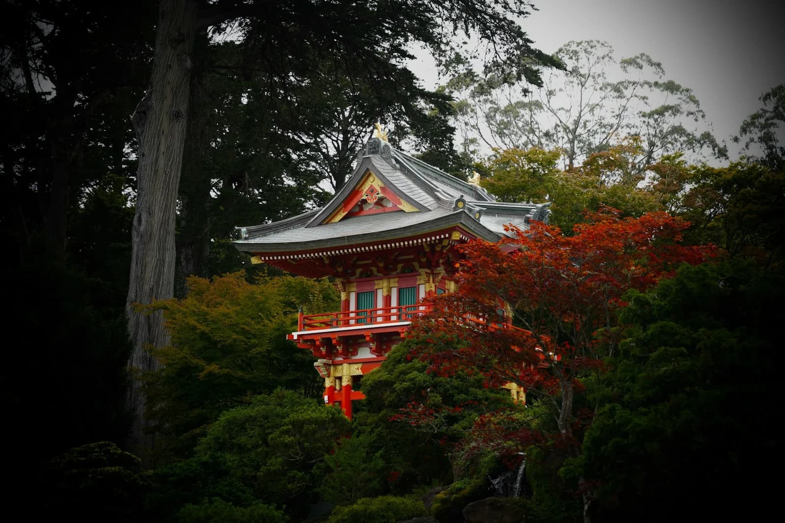 Pagoda de techo rojo del Japanese Tea Garden rodeada de árboles en Golden Gate Park