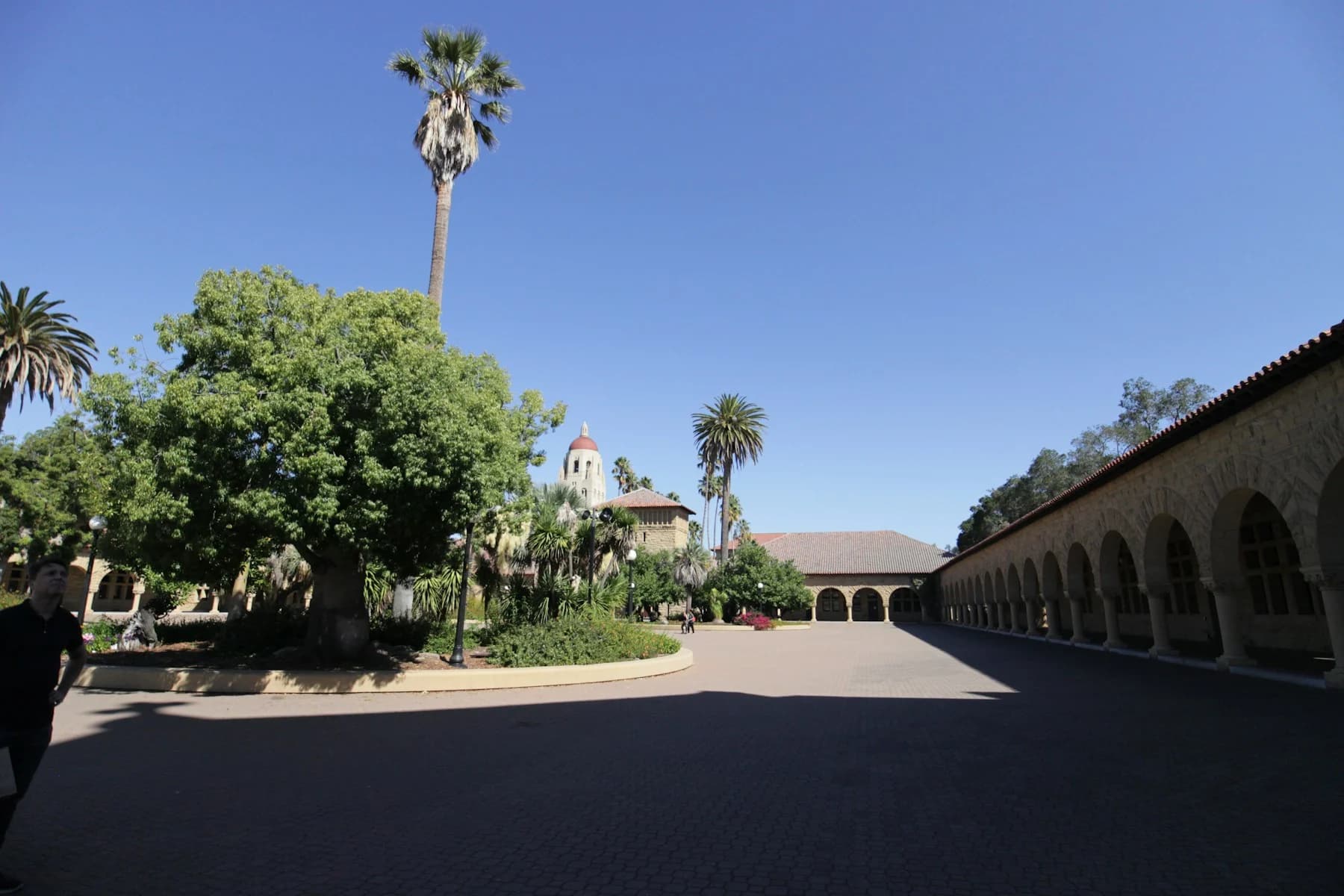 Palm trees and sandstone arcades in a Stanford courtyard with Hoover Tower beyond